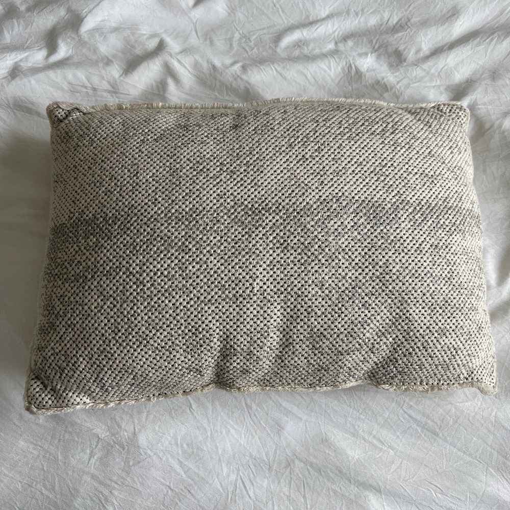 Accent pillow with silver details